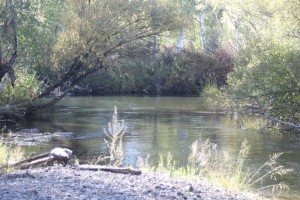 IMG_9662.JPG