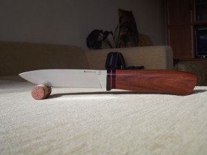 DSCF2736.jpg