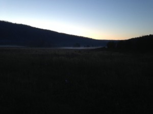 IMG_0027.jpg