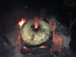 IMG_0065.jpg