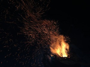 IMG_0085.jpg