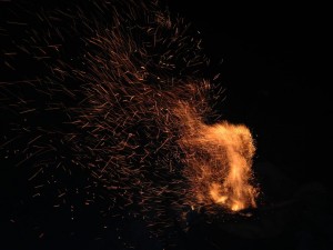 IMG_0086.jpg
