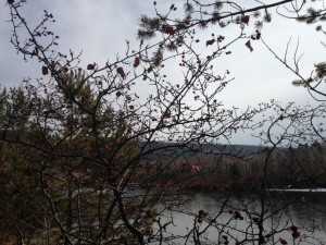 IMG_0051.jpg