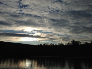 IMG_0231.jpg