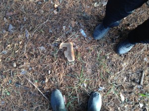 IMG_0219.jpg