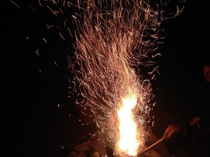 IMG_0094.jpg