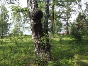 DSCF2758.jpg