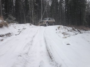 IMG_0521.jpg
