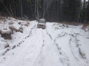 IMG_0523.jpg