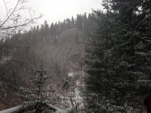 IMG_0548.jpg