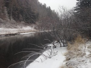 IMG_0552.jpg