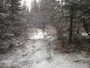 IMG_0555.jpg