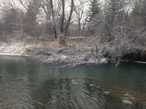 IMG_0557.jpg