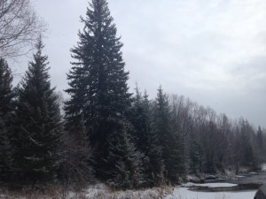 IMG_0558.jpg
