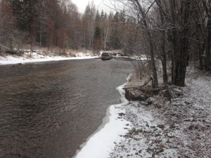 IMG_0513.jpg