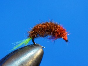 DSC_0007.JPG