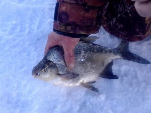 IMG_20131204_164512.jpg