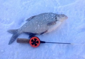 IMG_20131204_165010.jpg