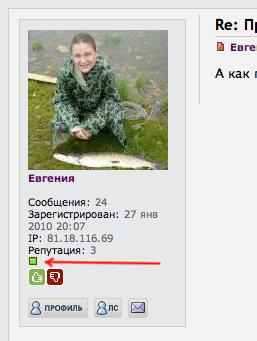 repinfo.gif