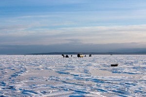 IMG_5203.jpg