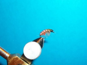 100_3343.jpg