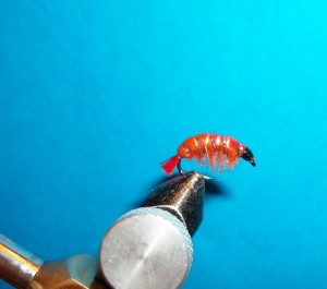100_3508.jpg
