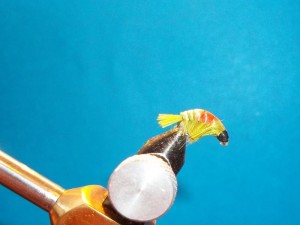 100_3562.jpg