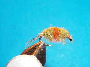 100_3647.jpg