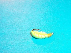 100_3662.jpg