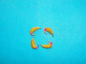 100_3694.jpg