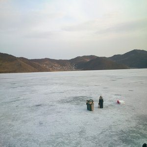 DSC_0366.jpg