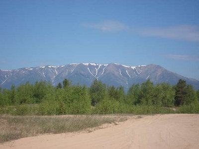 DSC04236.jpg