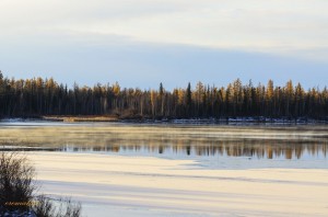 DSC_1702(2).jpg