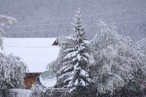 DSC_2244.JPG