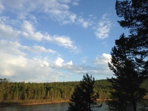 getImage (8).jpg