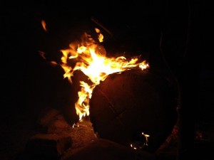 getImage (16).jpg