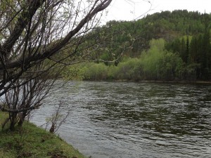 getImage (28).jpg