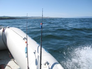 IMG_0546 copy.jpg
