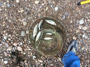 IMG_0075.JPG