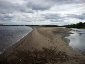 DSC05514.JPG