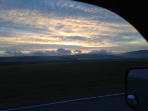 IMG_1614.jpg