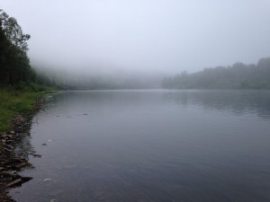 IMG_1629.jpg