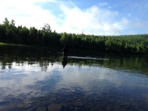 IMG_1630.jpg