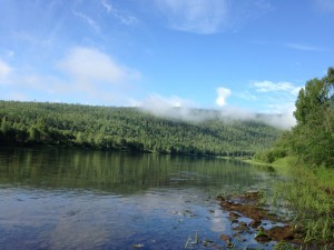 IMG_1632.jpg
