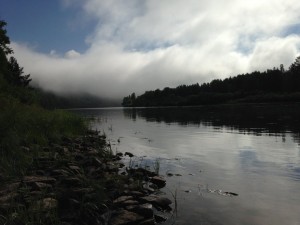 IMG_1634.jpg