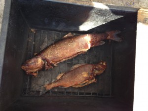 IMG_1640.jpg