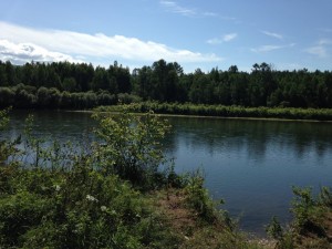 IMG_1641.jpg