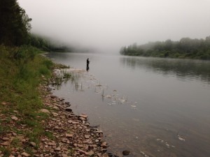 IMG_1667.jpg