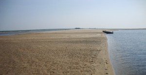 DSC05552.JPG