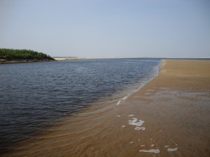 DSC05549.JPG